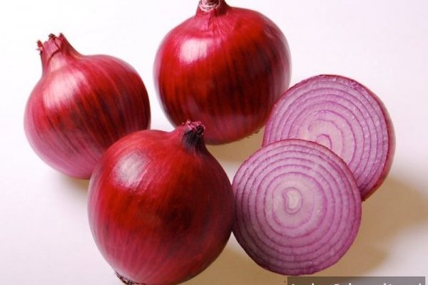 Omg omg onion официальный сайт